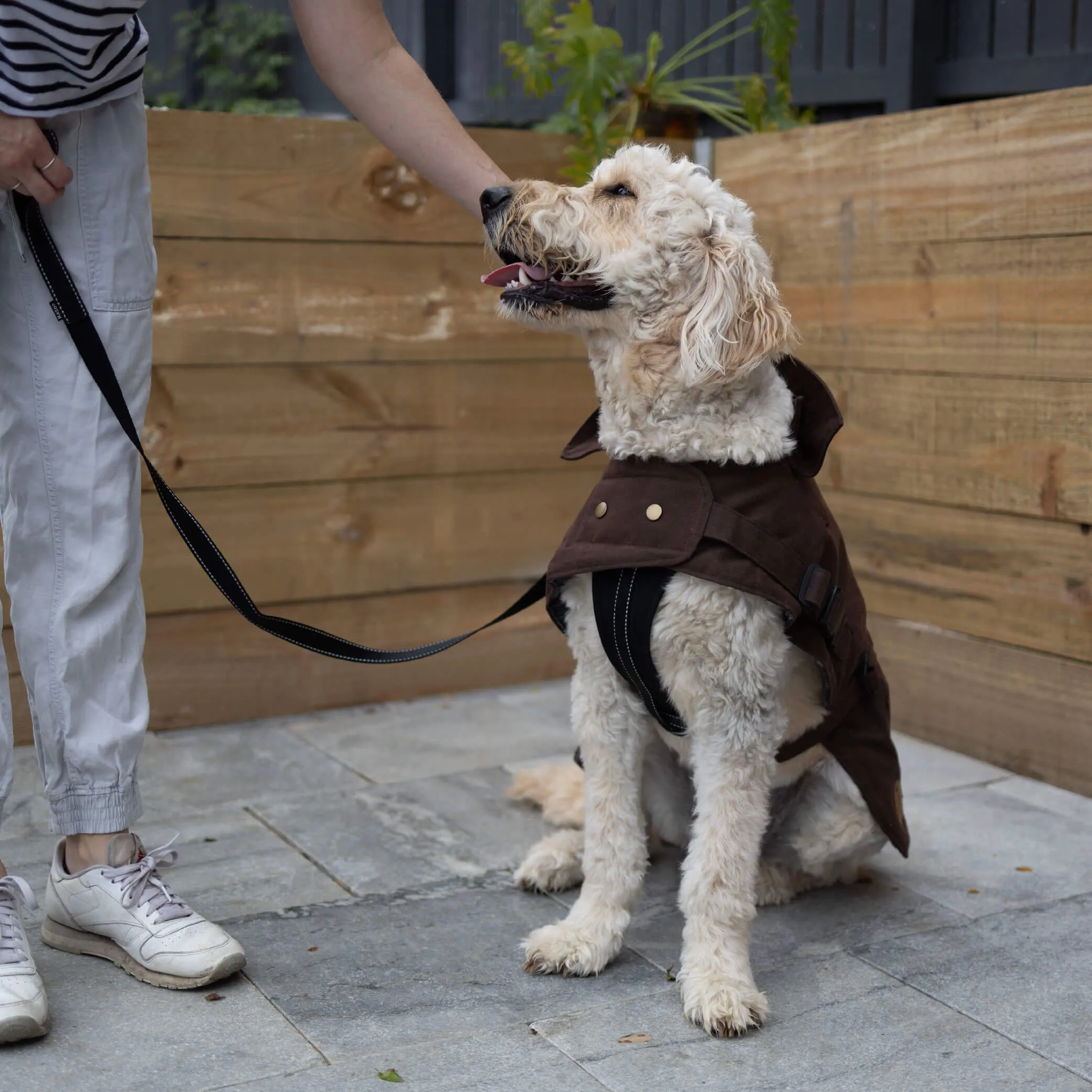 Aussie Oilskin Dog Coat - Brown