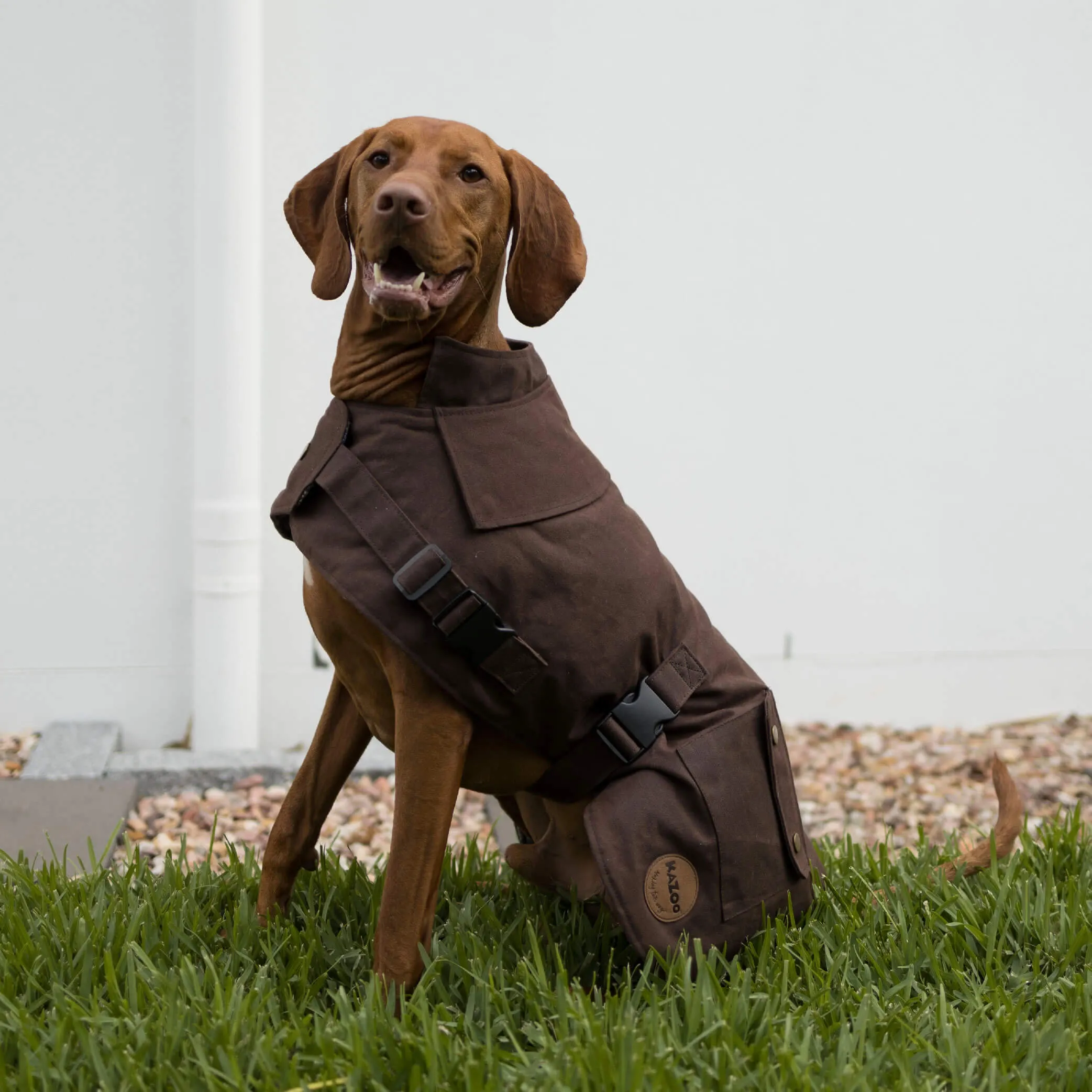 Aussie Oilskin Dog Coat - Brown