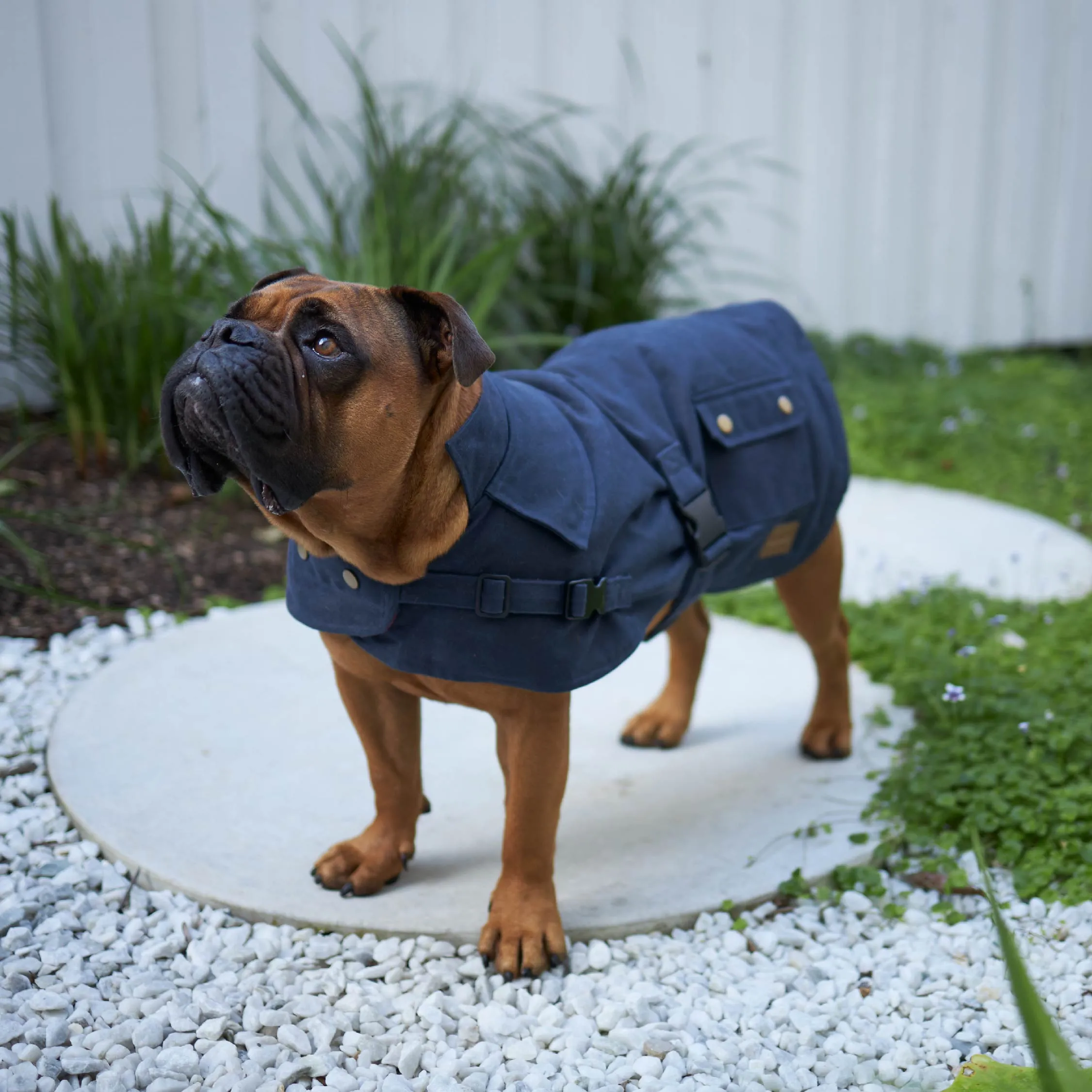 Aussie Oilskin Dog Coat - Navy