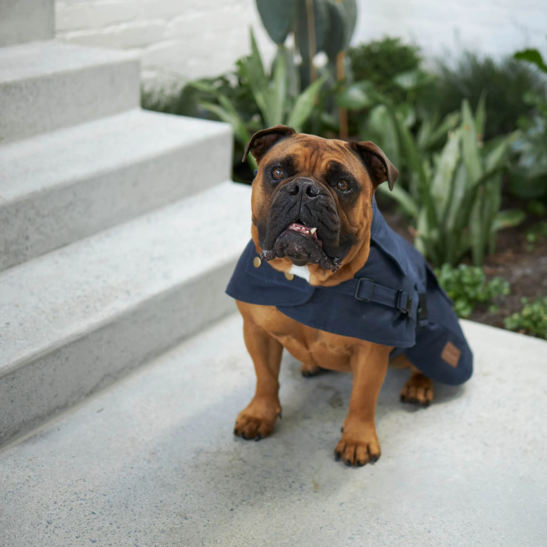 Aussie Oilskin Dog Coat - Navy