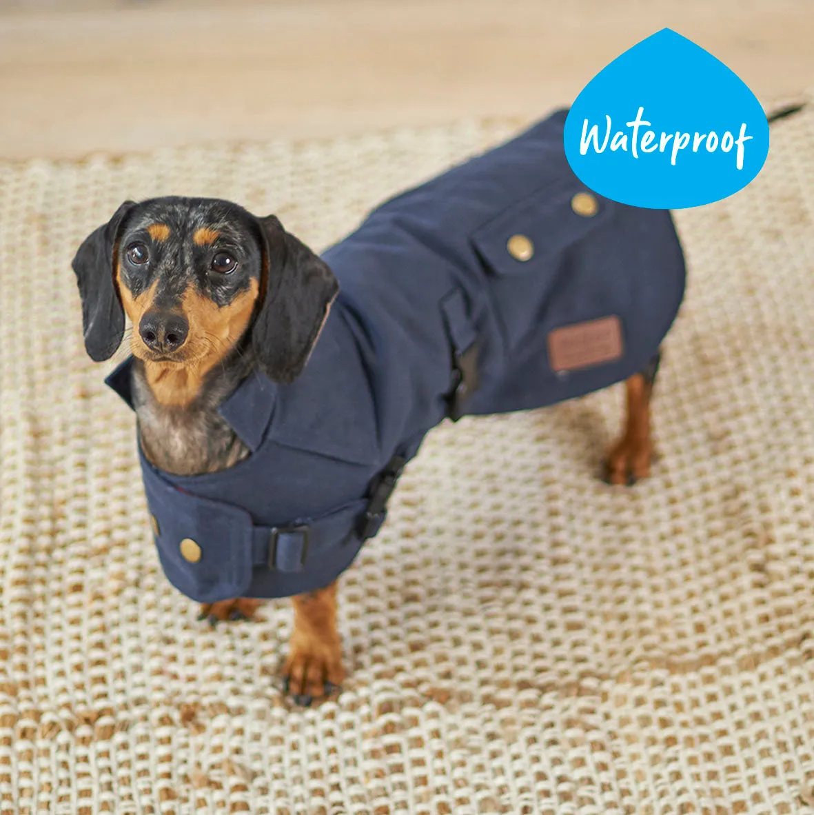 Aussie Oilskin Dog Coat - Navy