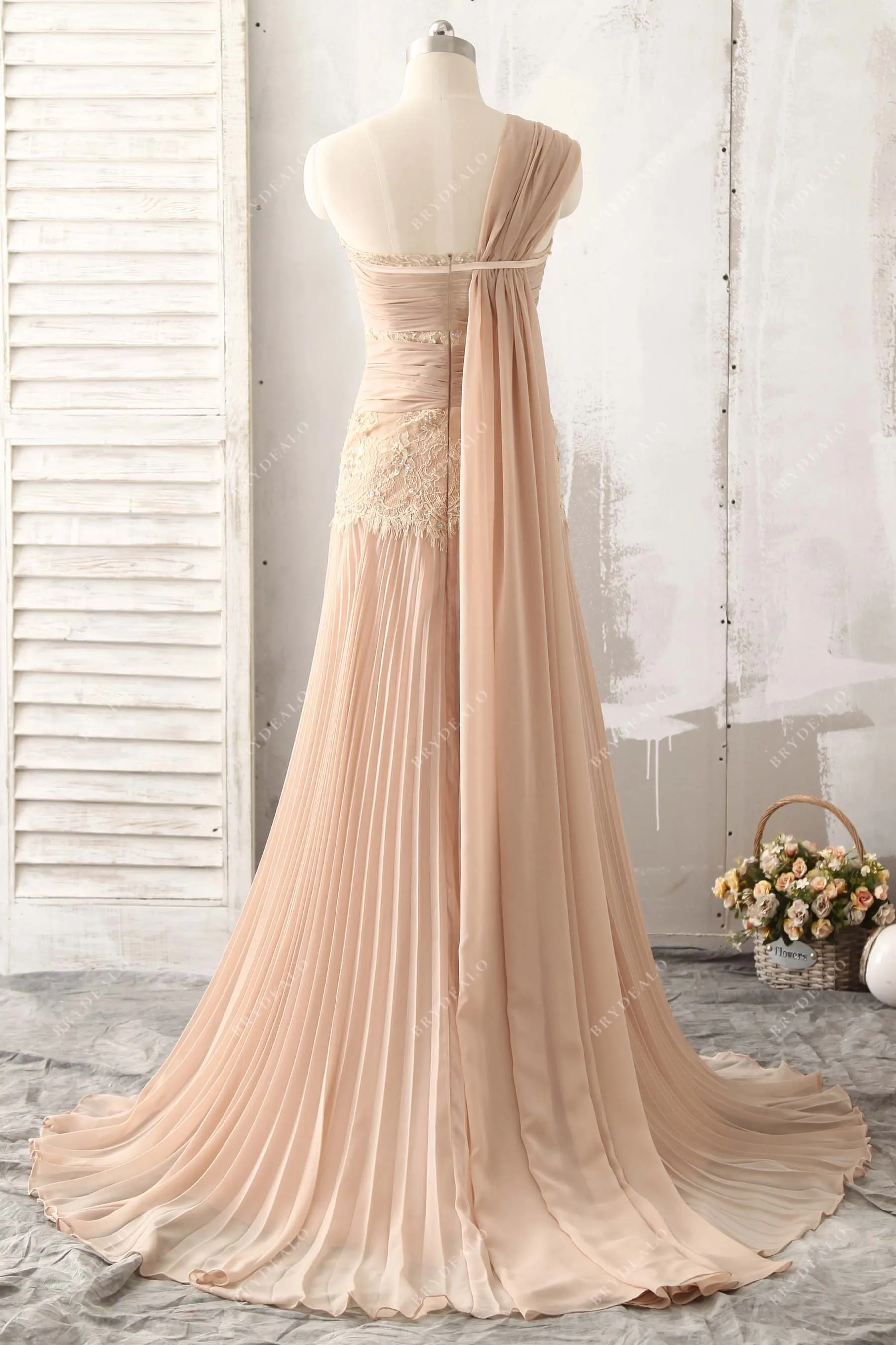 Chic Beige Chiffon Streamer Lace Prom Dress