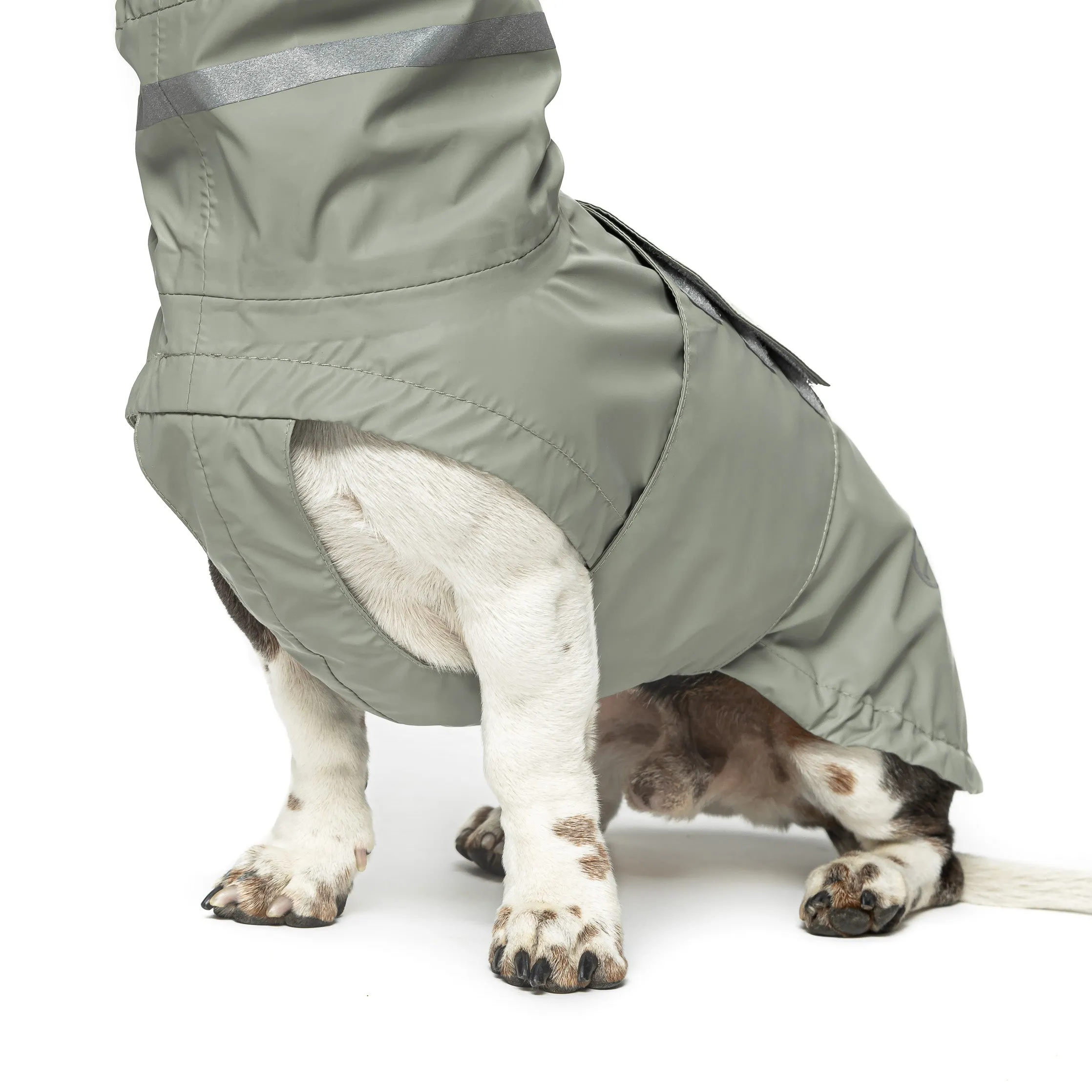 Cloud7 Hamburg Dog Rain Coat in Thyme Green