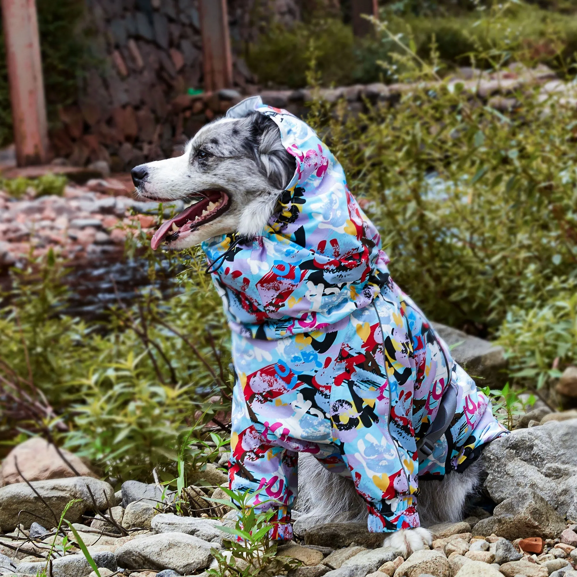 Cold-Resistant Waterproof Cotton Dog Raincoat