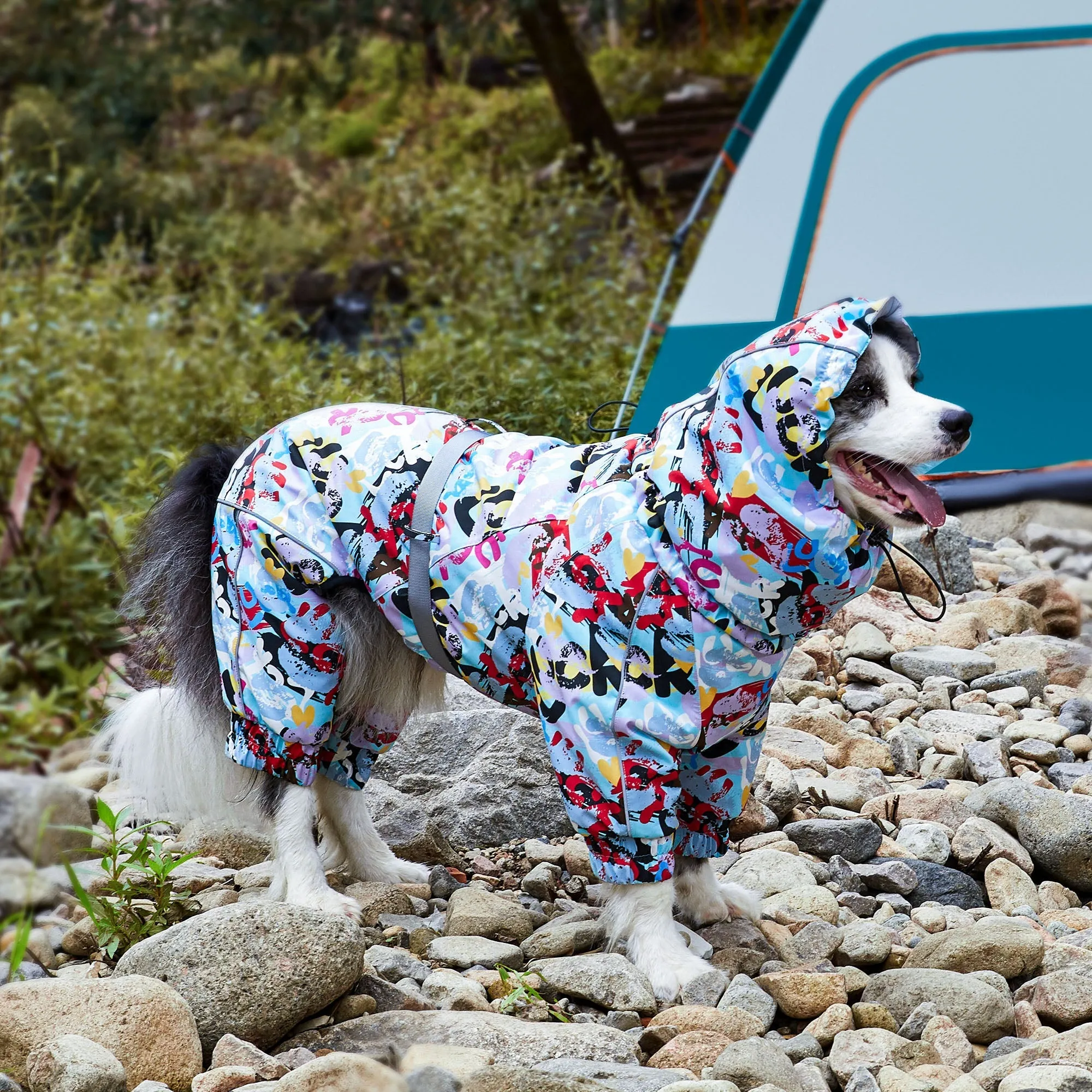 Cold-Resistant Waterproof Cotton Dog Raincoat