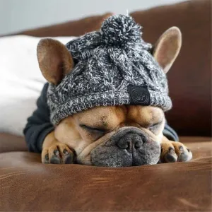 Cozy Winter Warm Dog Hats