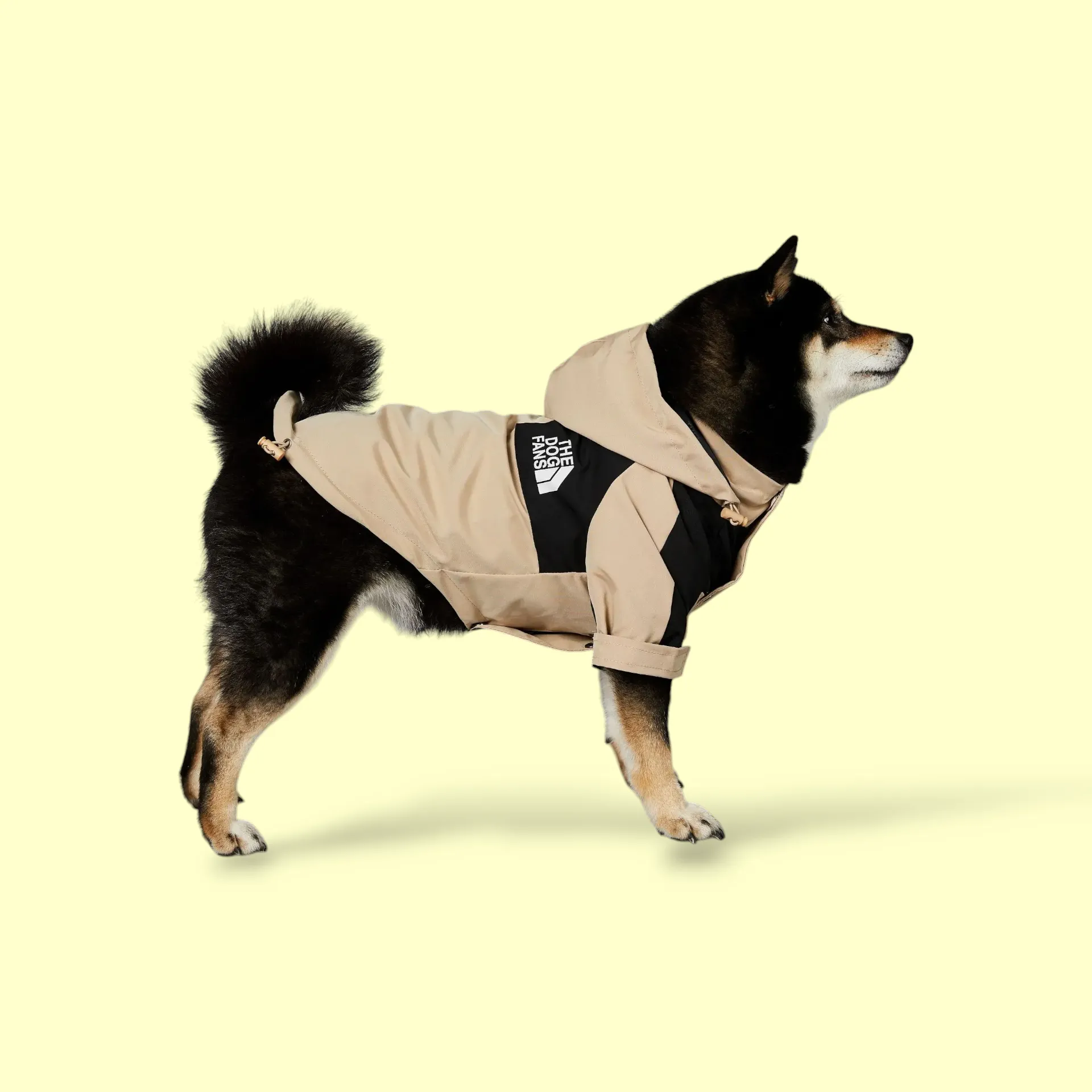 Dog Raincoat