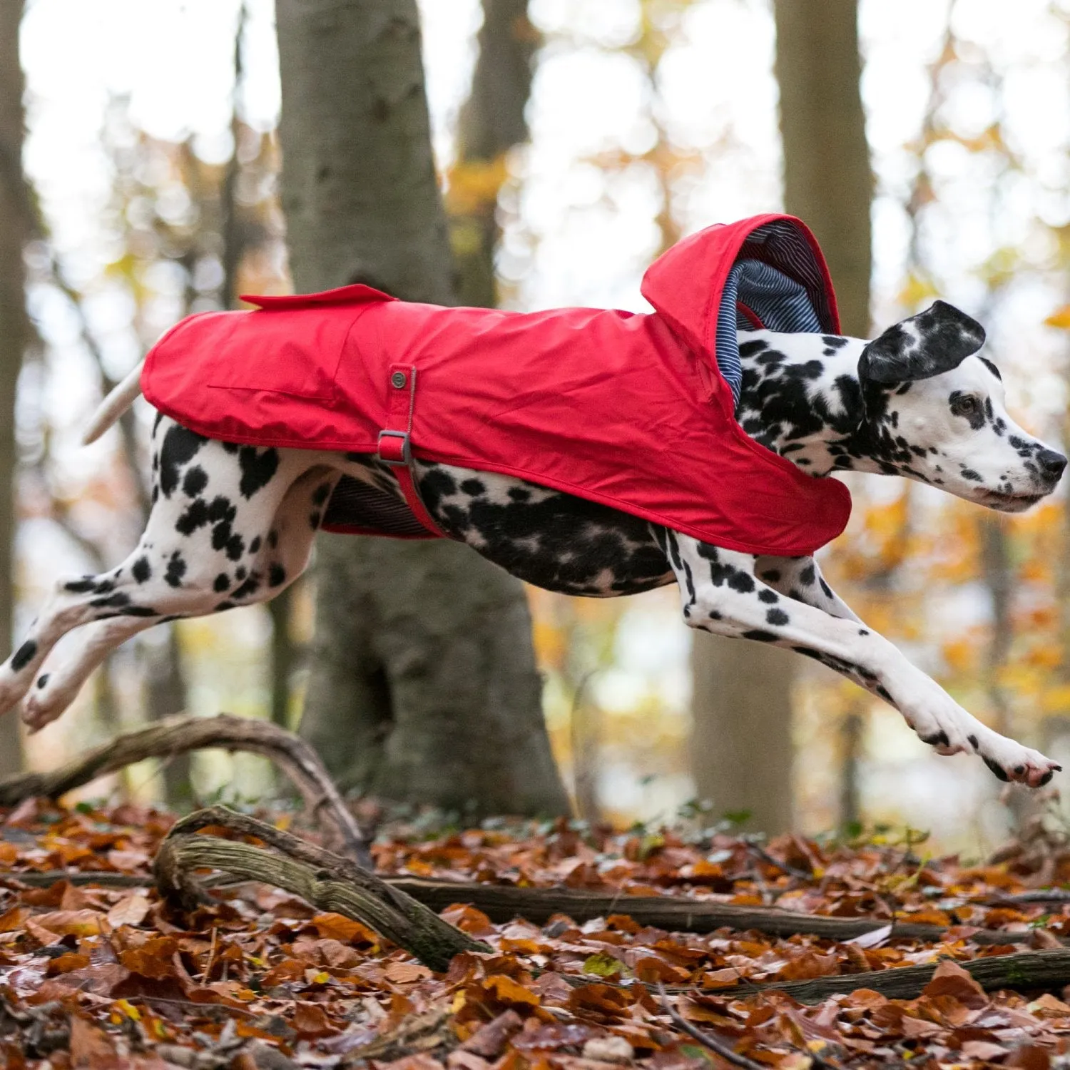 Hugo & Hudson Rain Coat for Dogs