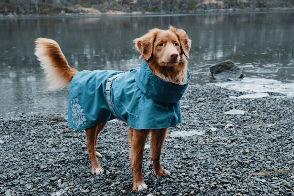 Hurtta Dog Rain Coat, Monsoon