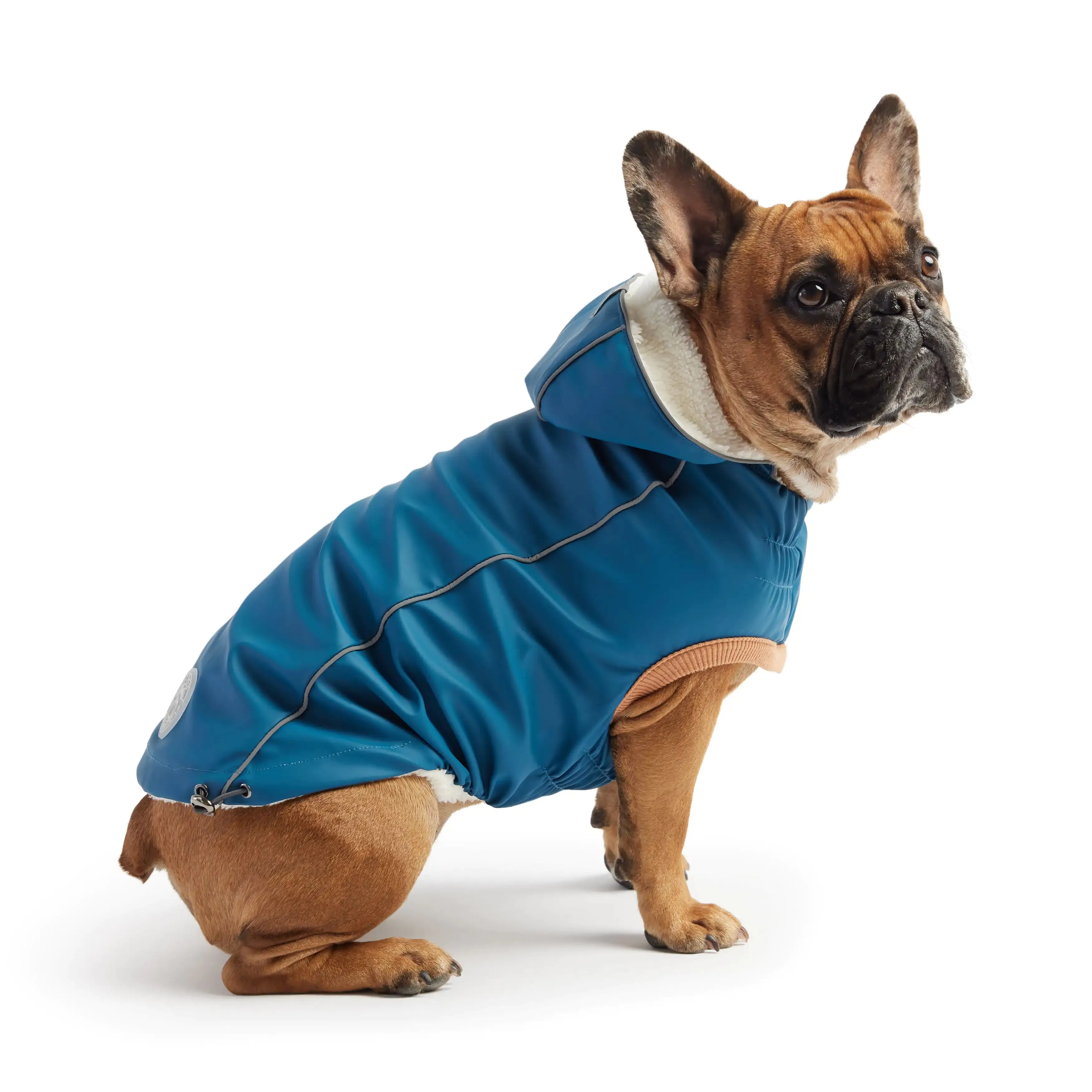 Insulated Dog Raincoat, Reflective Piping, Sherpa Lining - Dark Blue