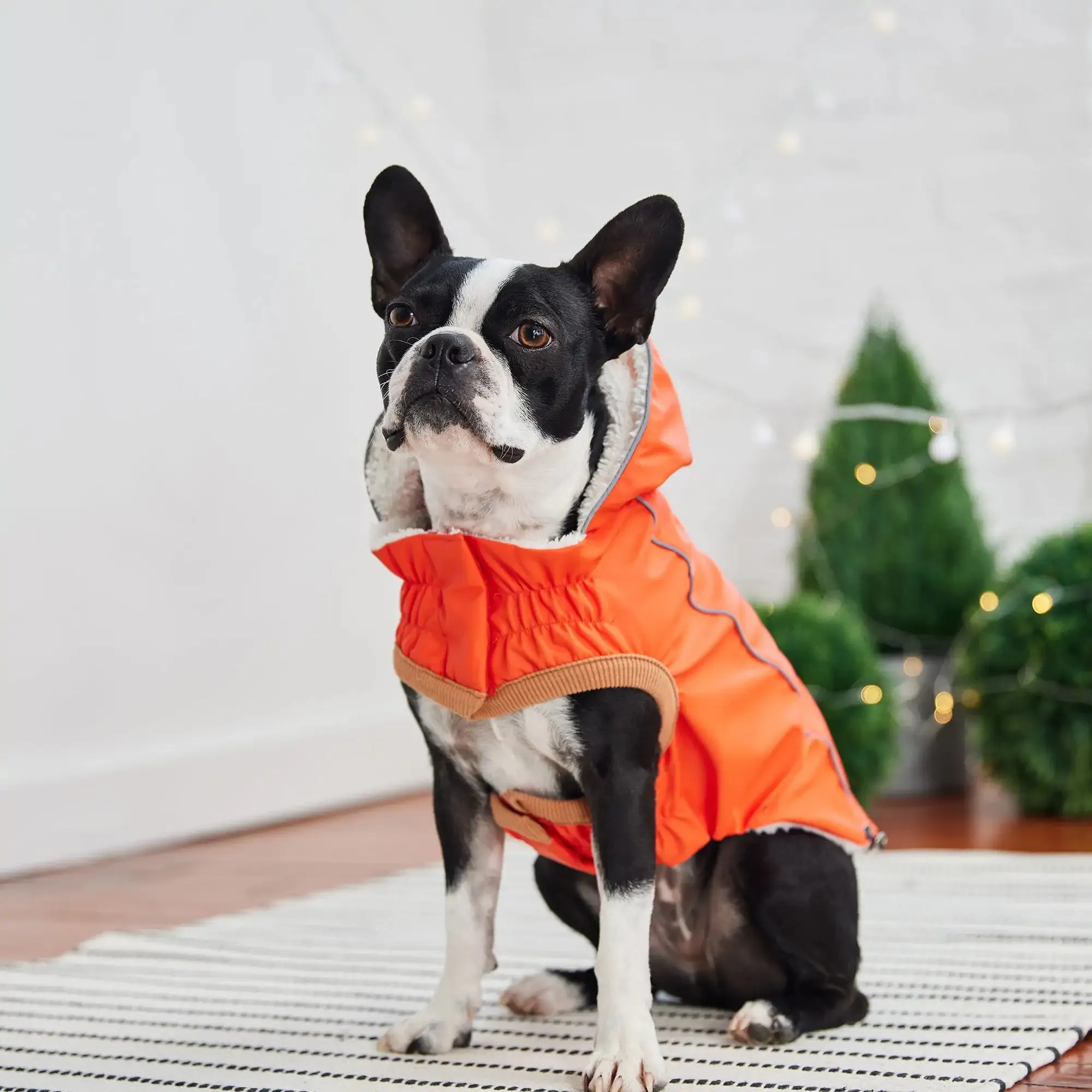 Insulated Dog Raincoat, Reflective Piping, Sherpa Lining - Orange