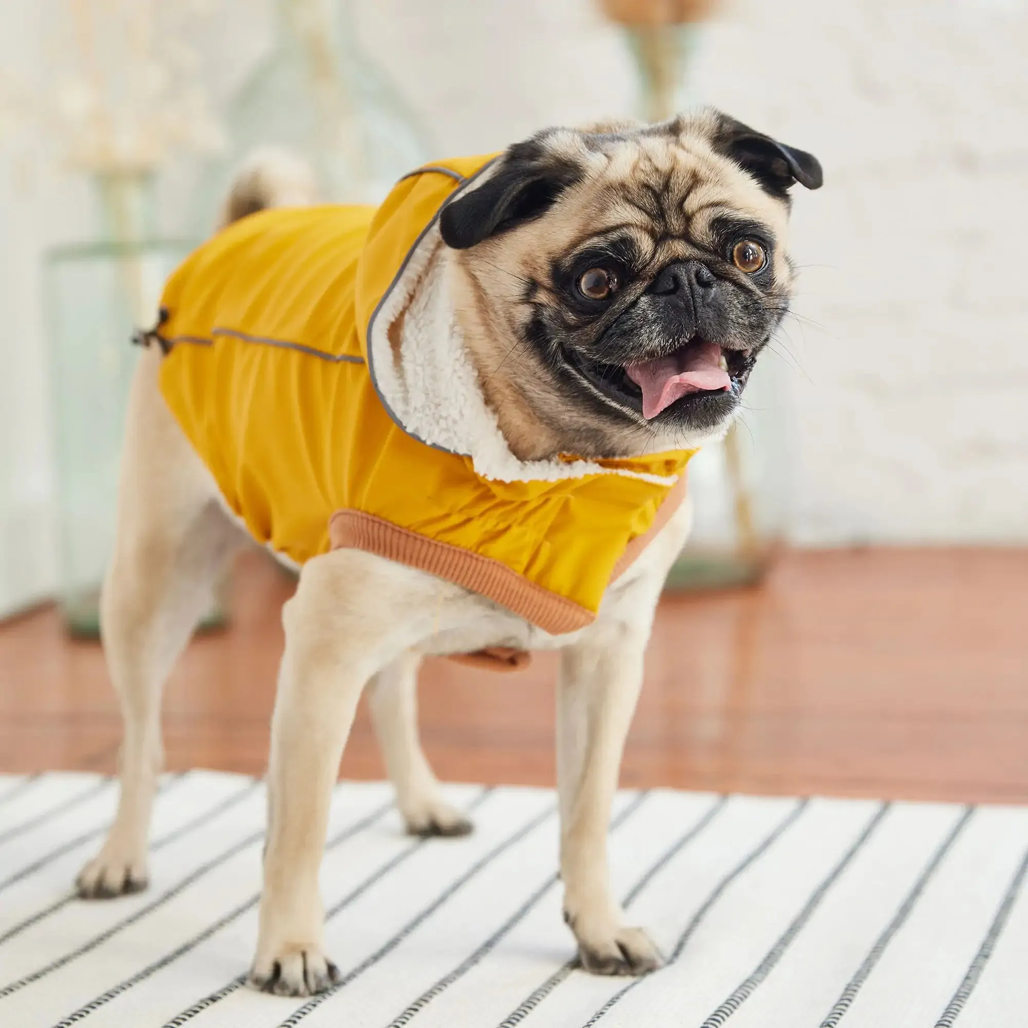 Insulated Dog Raincoat, Sherpa Lining, Reflective Piping - Yellow