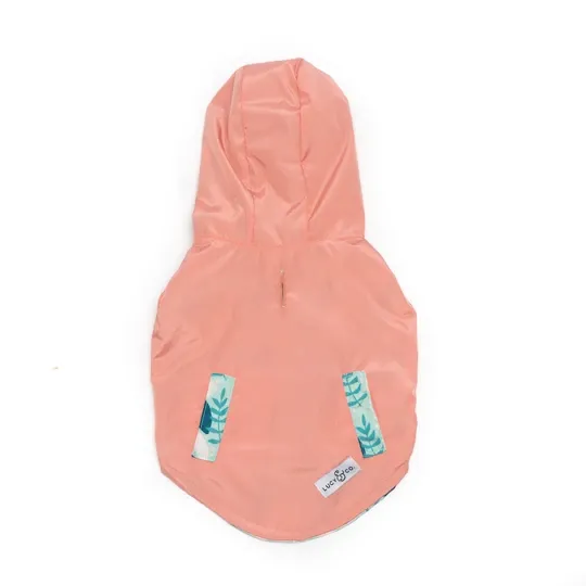 Lucy&Co Reversible Raincoat for Dogs, Minty Fresh