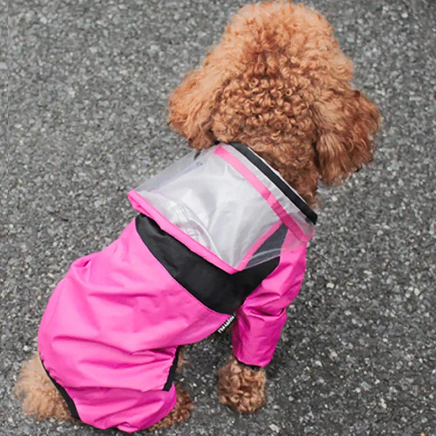 Raincoat for Dogs