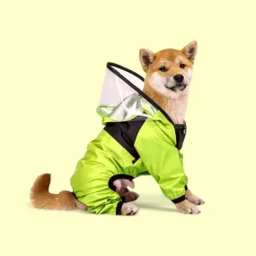 Raincoat for Dogs