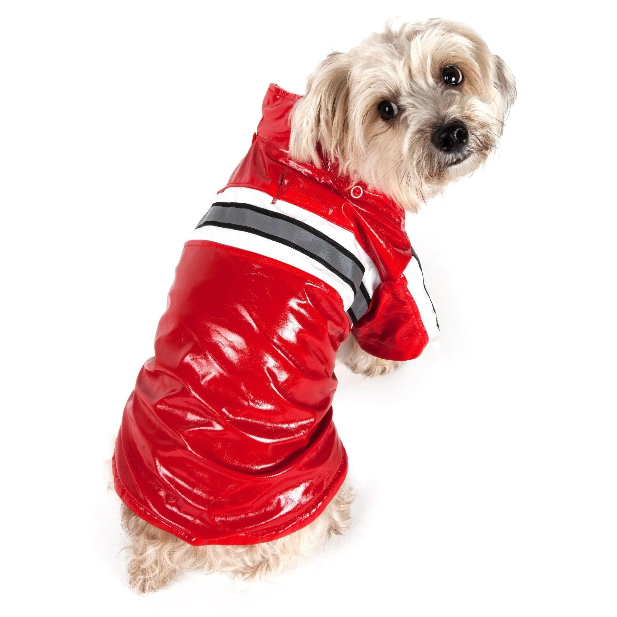 Raincoat for pets Fashion