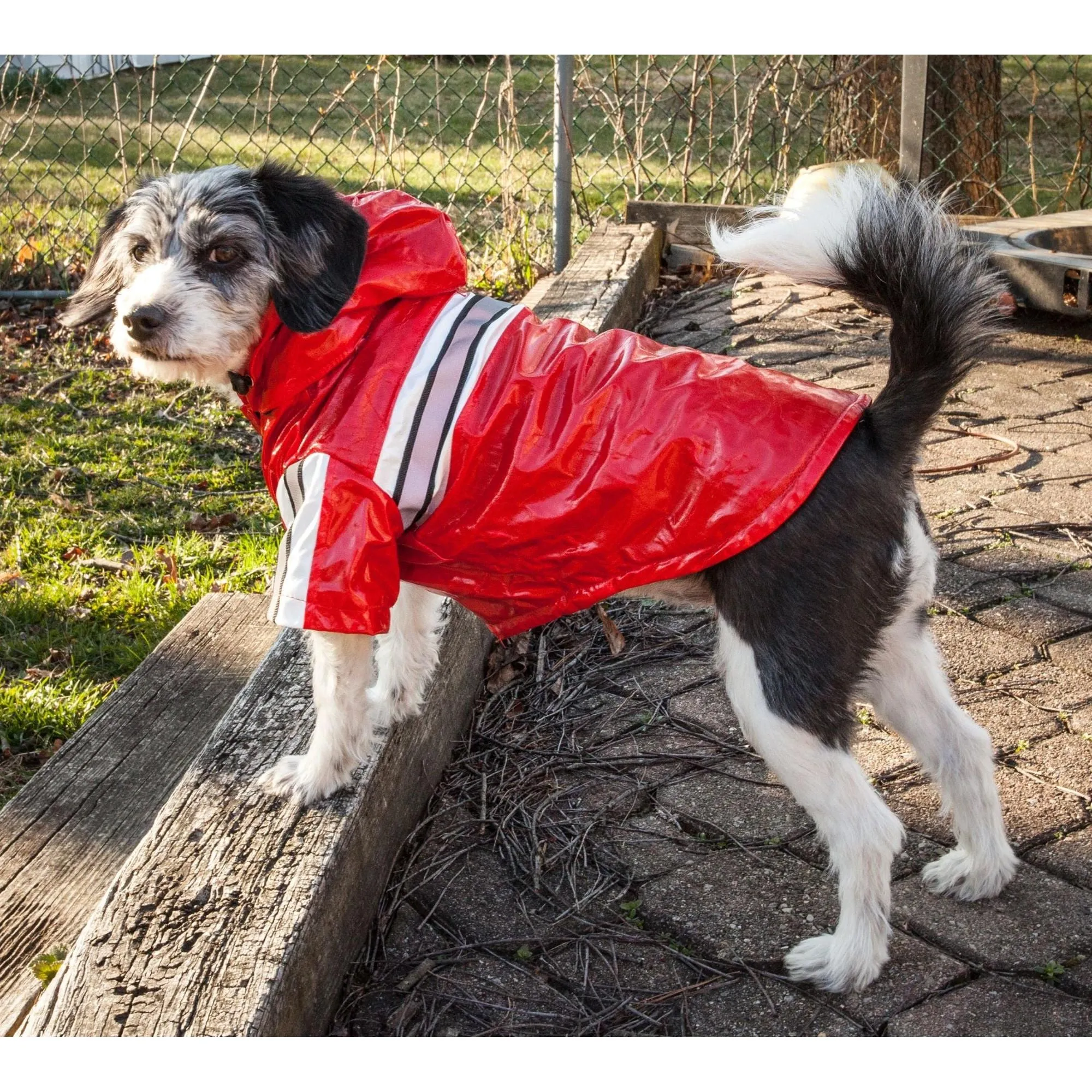 Raincoat for pets Fashion