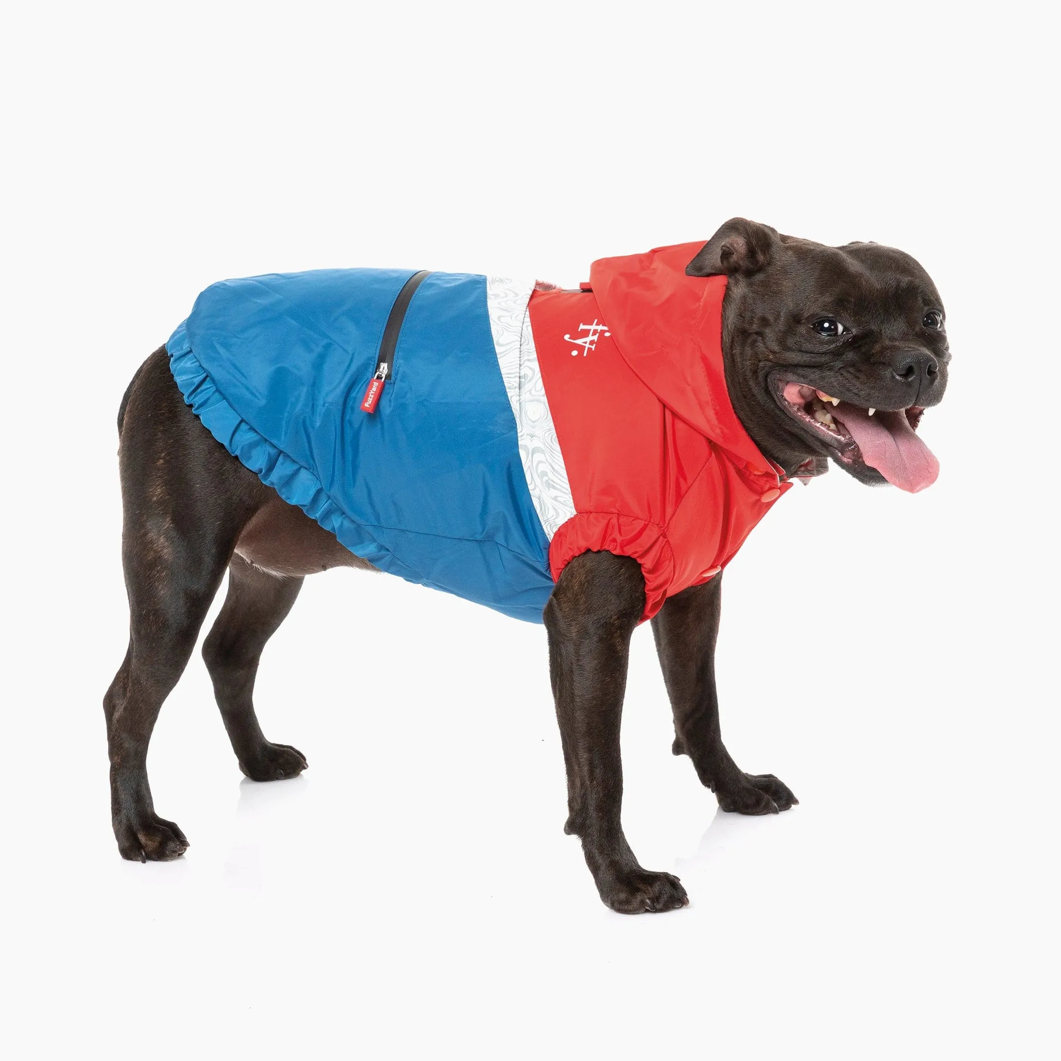 Red and Blue Waterproof Dog Raincoat | Ultimate All-Weather Protection