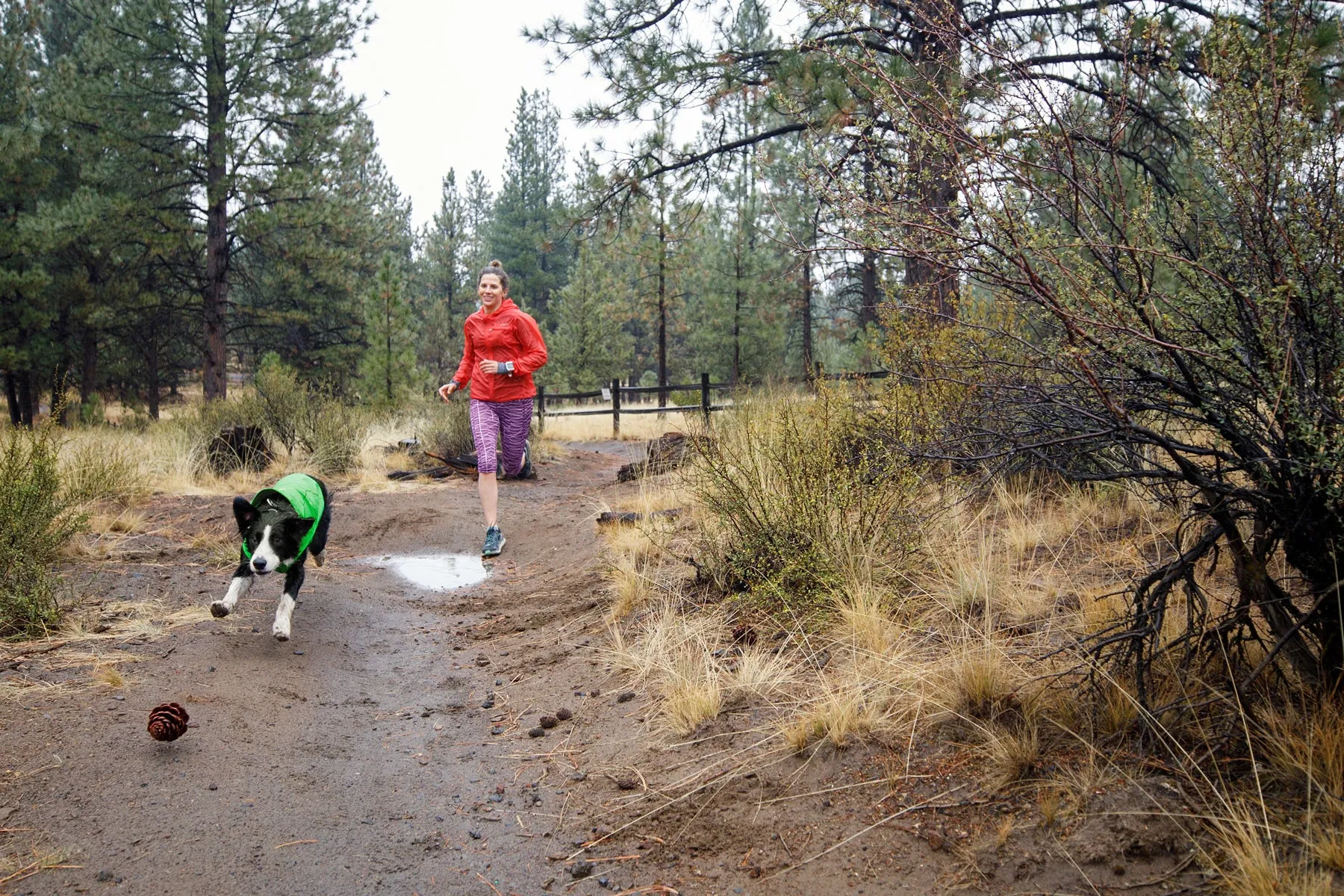 Ruffwear Dog Rain Jacket: Sun Shower