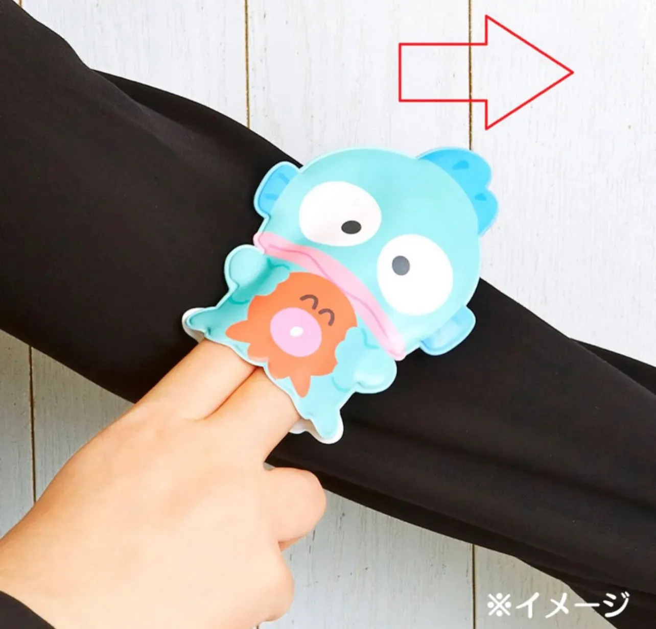 Sanrio Character Lint Brush