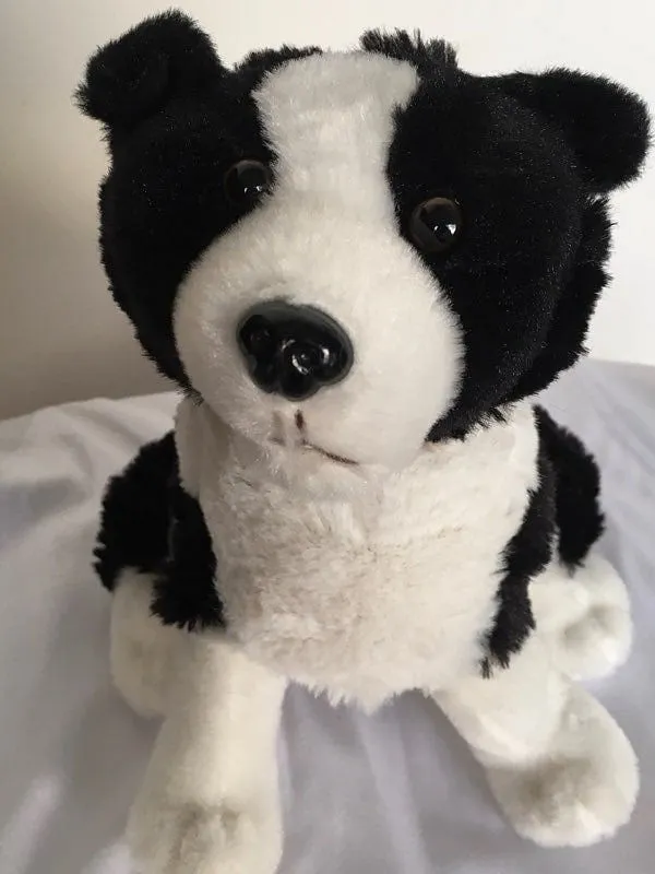 Sheepdog Teddy