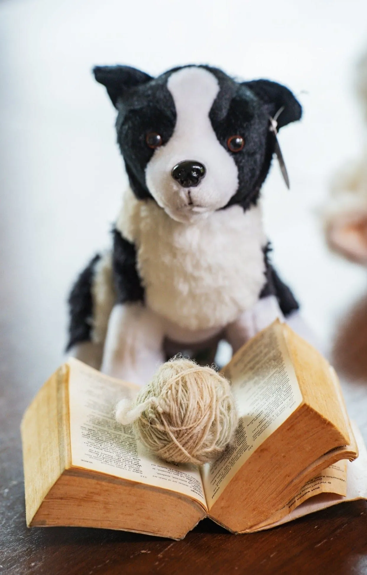 Sheepdog Teddy