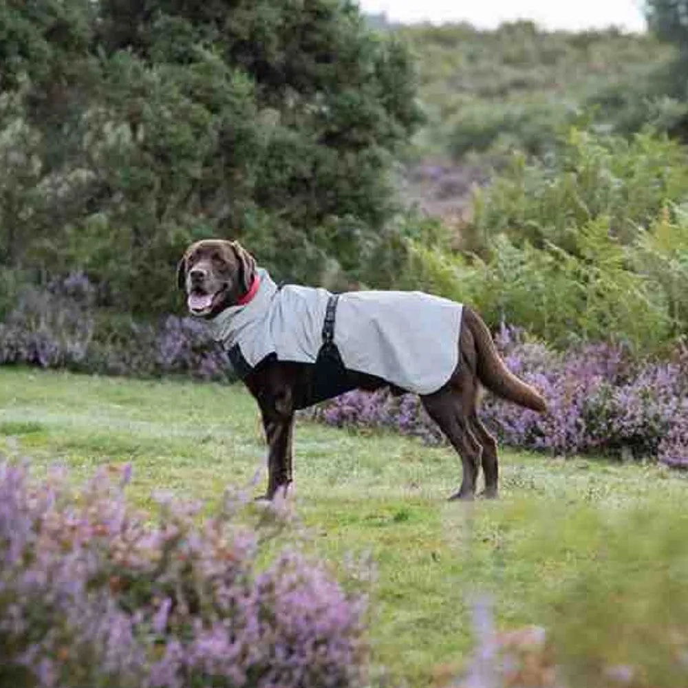 Shine Dog Raincoat