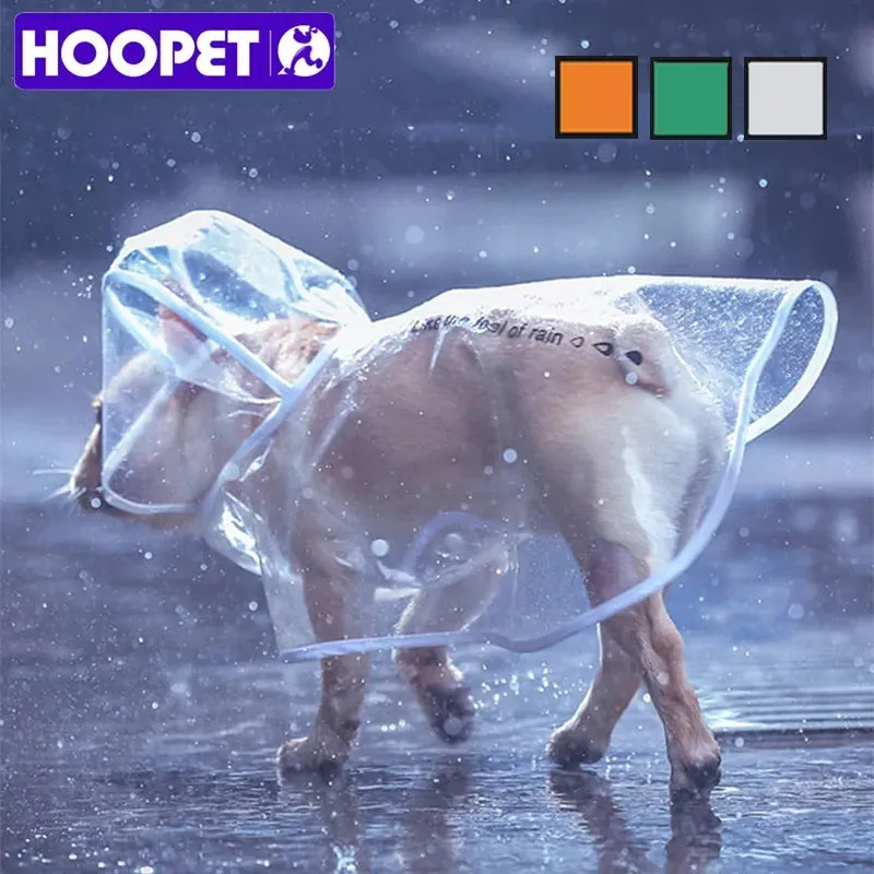 Small Dog Raincoat