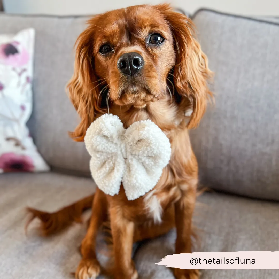 Teddy Sailor Bow Tie - Dolly